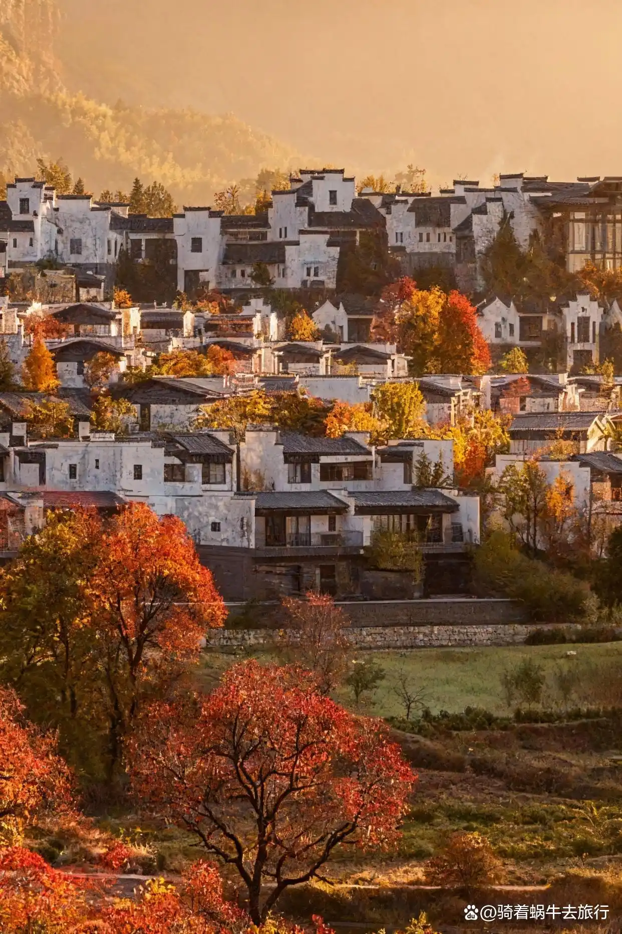 后来，我逢人便说皖南的秋天好美！