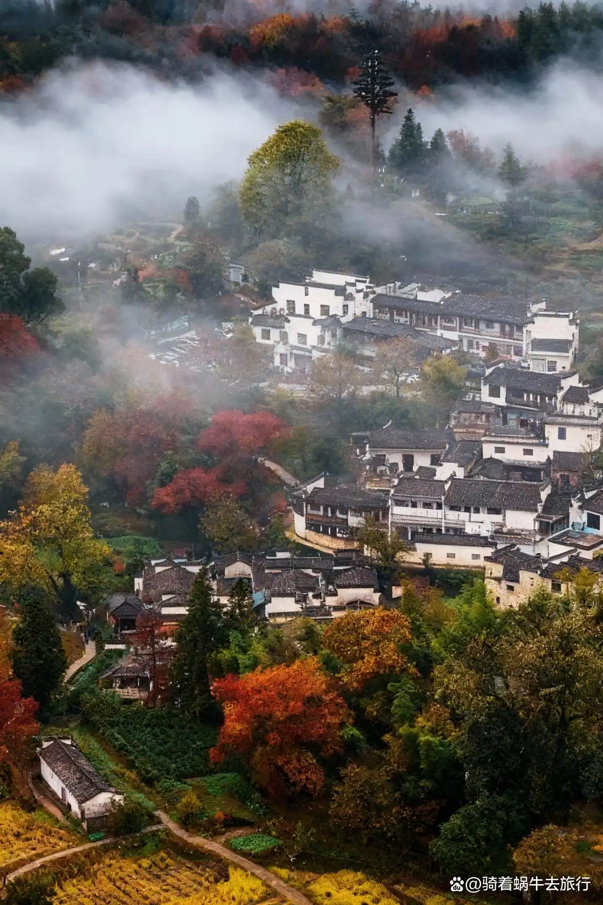 后来，我逢人便说皖南的秋天好美！