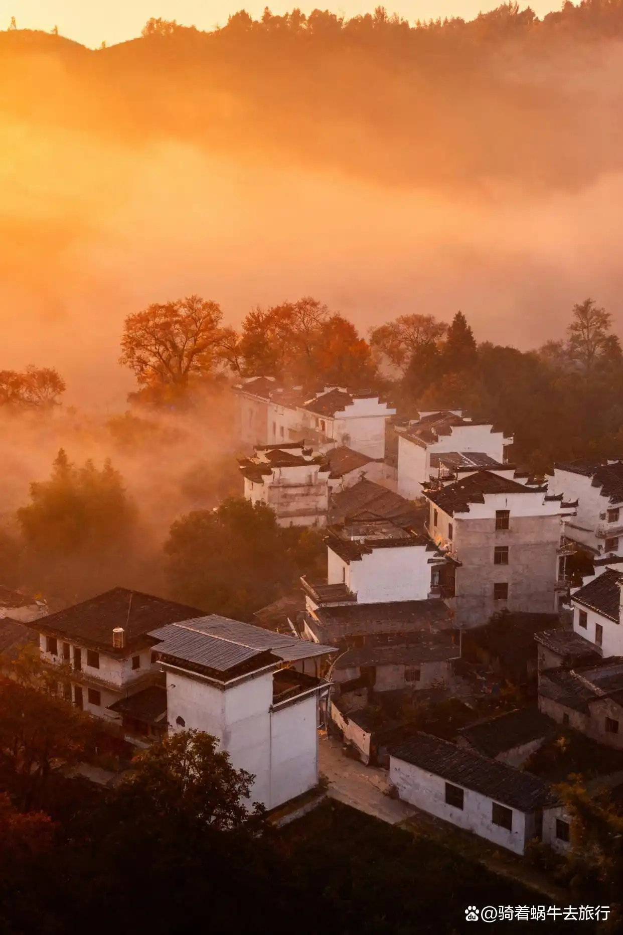 后来，我逢人便说皖南的秋天好美！