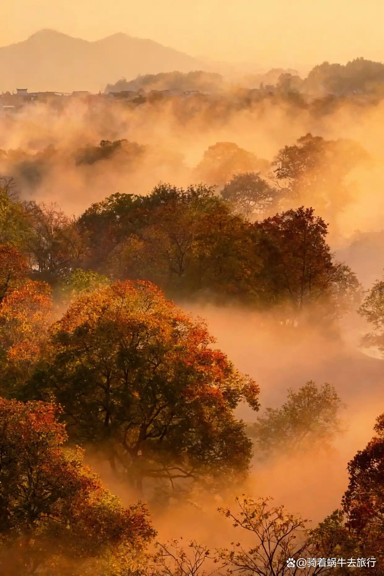 后来，我逢人便说皖南的秋天好美！