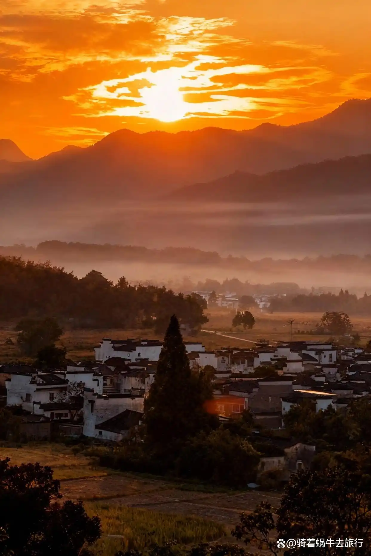 后来，我逢人便说皖南的秋天好美！