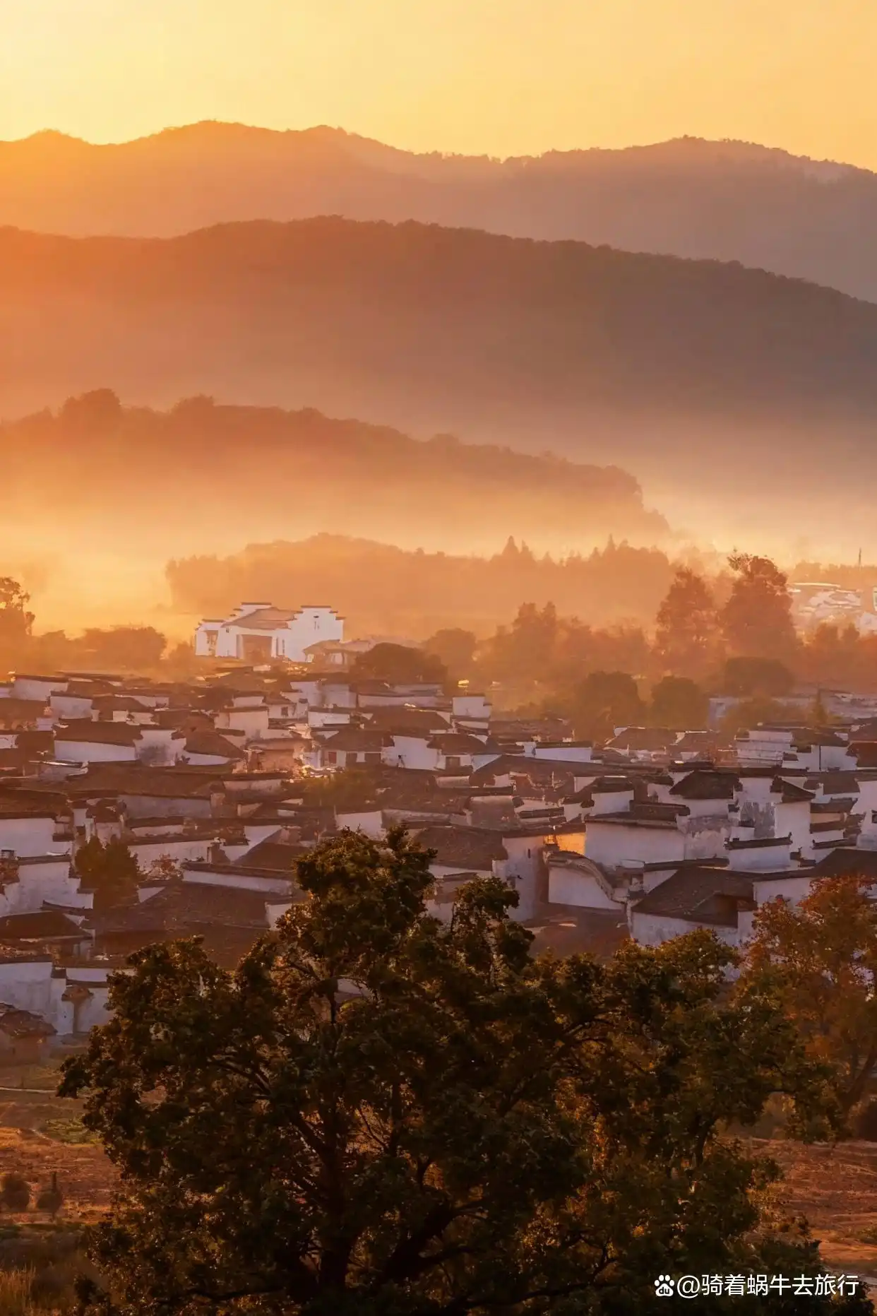 后来，我逢人便说皖南的秋天好美！
