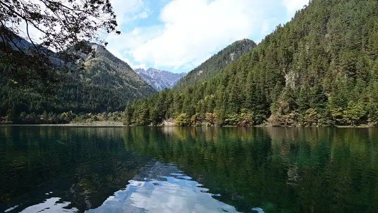 九寨沟彩林季迎“井喷式”客流 “颜值+服务”双在线获游客盛赞