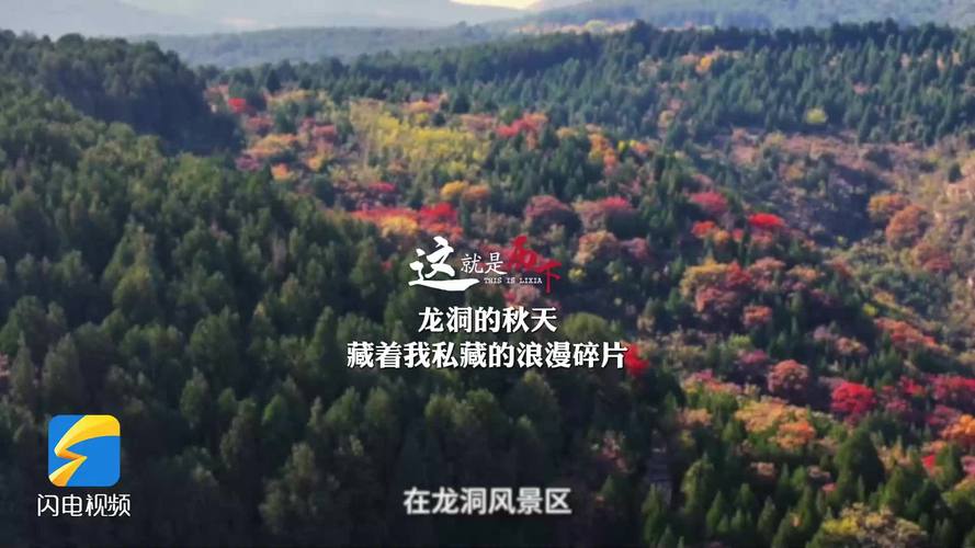 中方决定恢复旅行社经营中国公民赴加拿大团队游业务