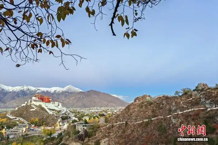 拉萨进行旅行社、导游及酒店民宿“十金”评选活动