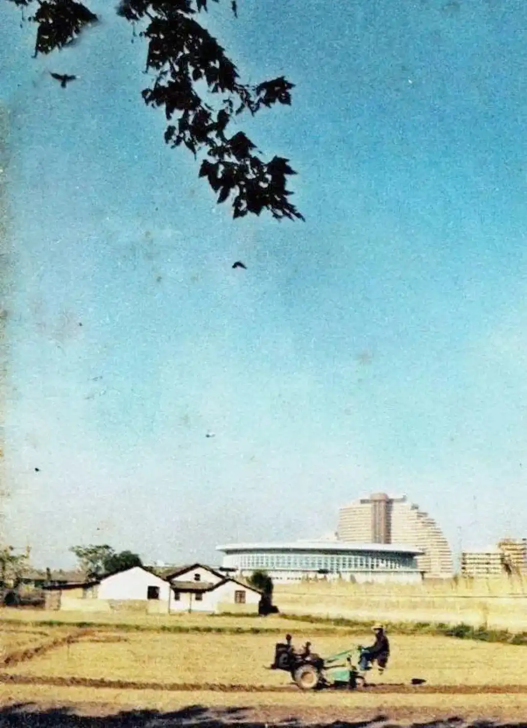 元宵夜，惜别华亭宾馆！TA的故事是上海人的共同回忆……