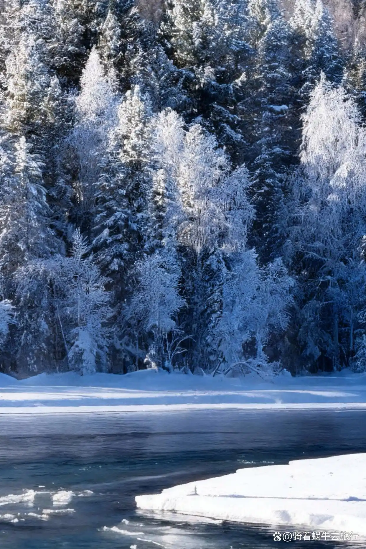 不是北欧去不起，而是冬天的阿勒泰更值得！