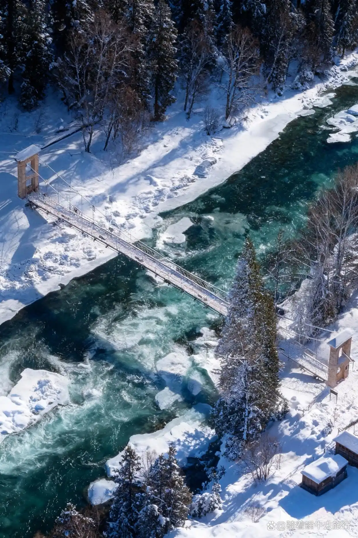 不是北欧去不起，而是冬天的阿勒泰更值得！