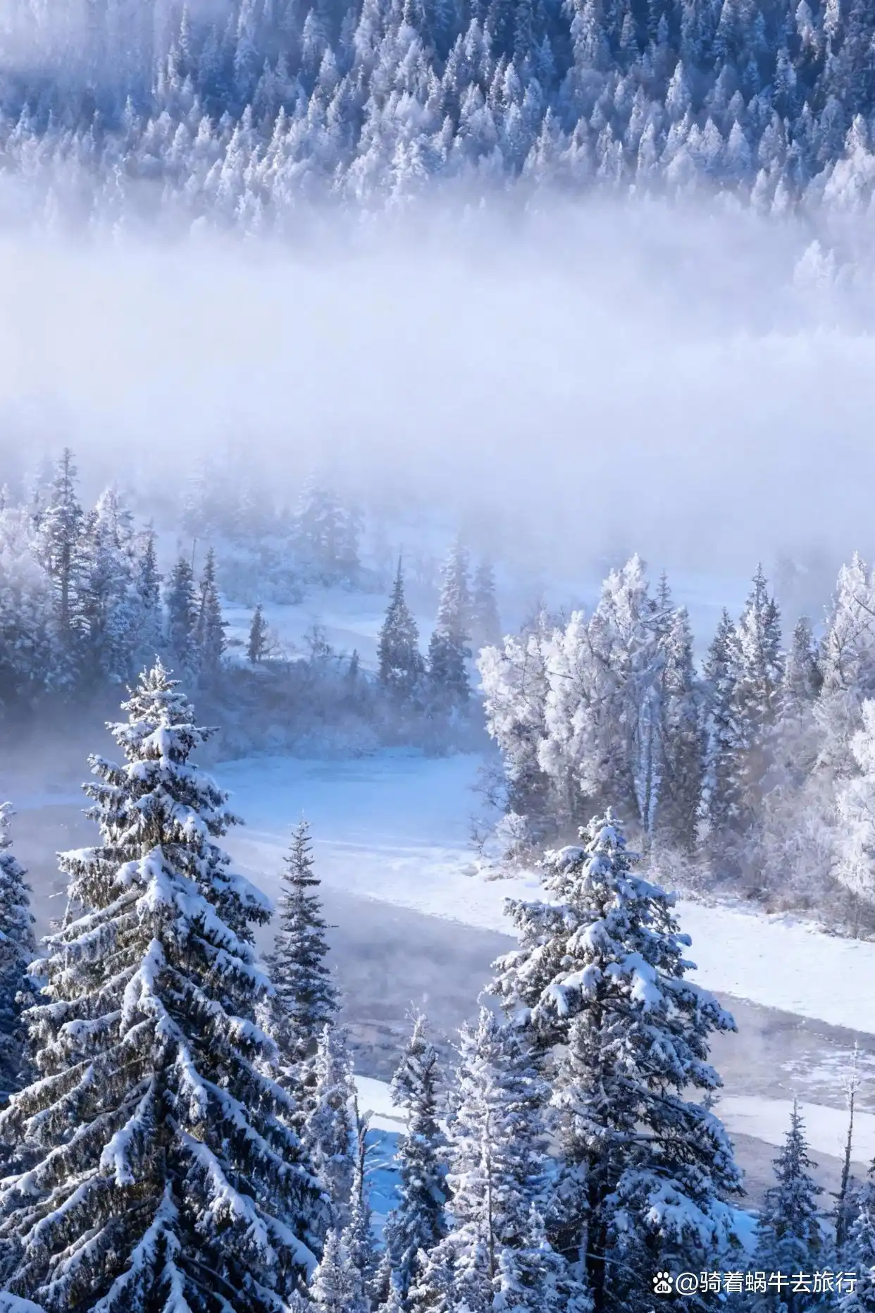 不是北欧去不起，而是冬天的阿勒泰更值得！