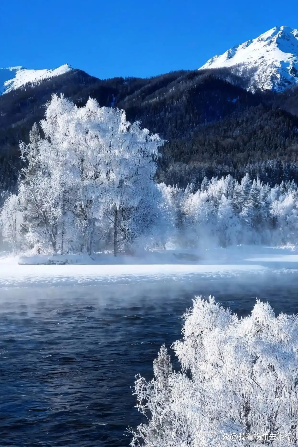 不是北欧去不起，而是冬天的阿勒泰更值得！