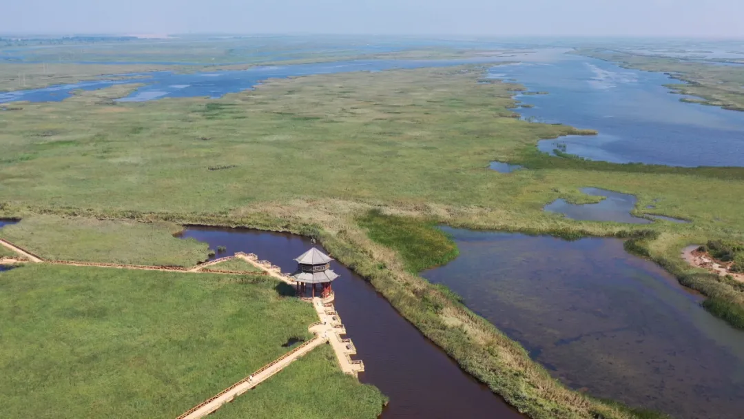 反向出游，山东最容易被忽略的小城，小众低调的东营，藏着黄河入海的浪漫！