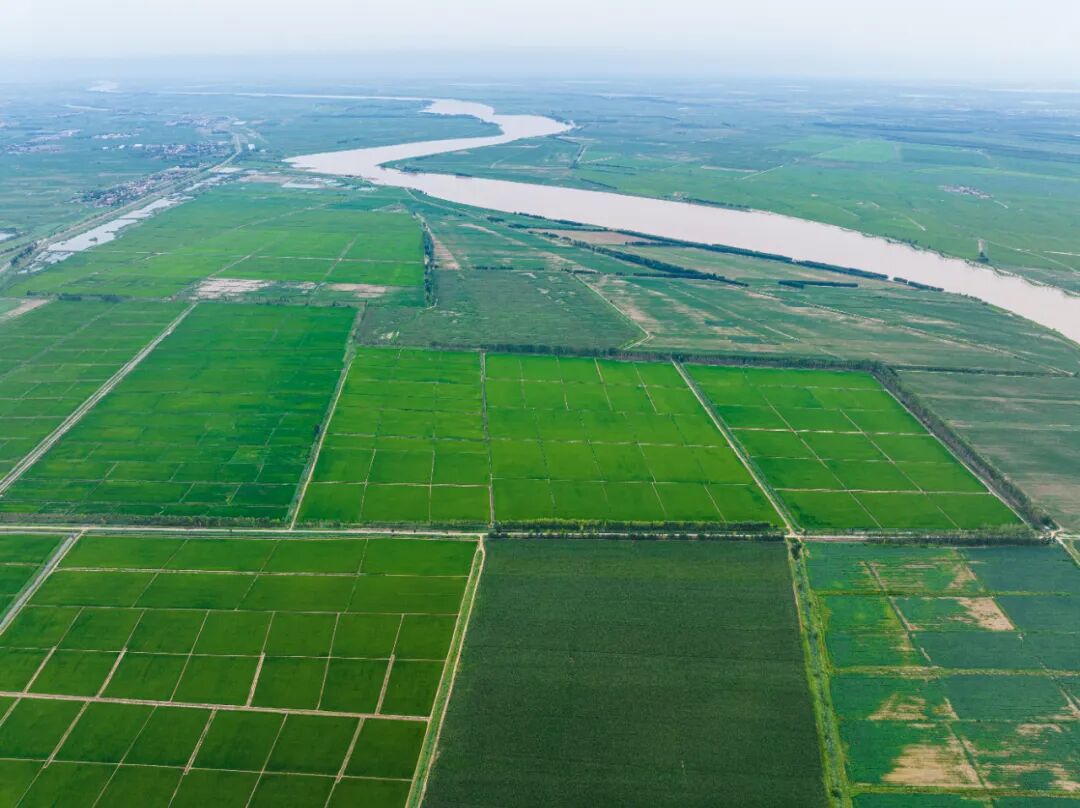 反向出游，山东最容易被忽略的小城，小众低调的东营，藏着黄河入海的浪漫！