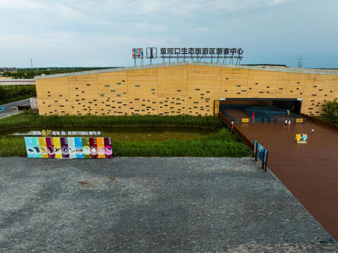 反向出游，山东最容易被忽略的小城，小众低调的东营，藏着黄河入海的浪漫！