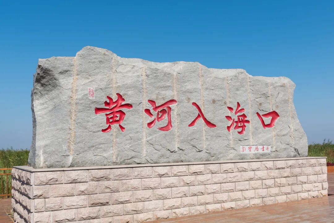 反向出游，山东最容易被忽略的小城，小众低调的东营，藏着黄河入海的浪漫！