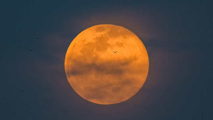 首个秋假四川这些景区宣布免门票