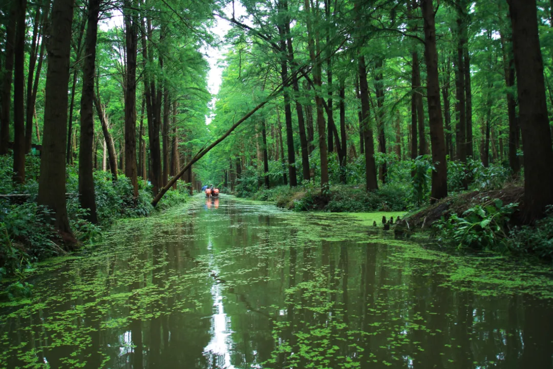 泰州一日游最佳景点推荐，江苏泰州8大好玩景点，一定不可错过！
