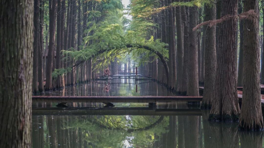 泰州一日游最佳景点推荐，江苏泰州8大好玩景点，一定不可错过！