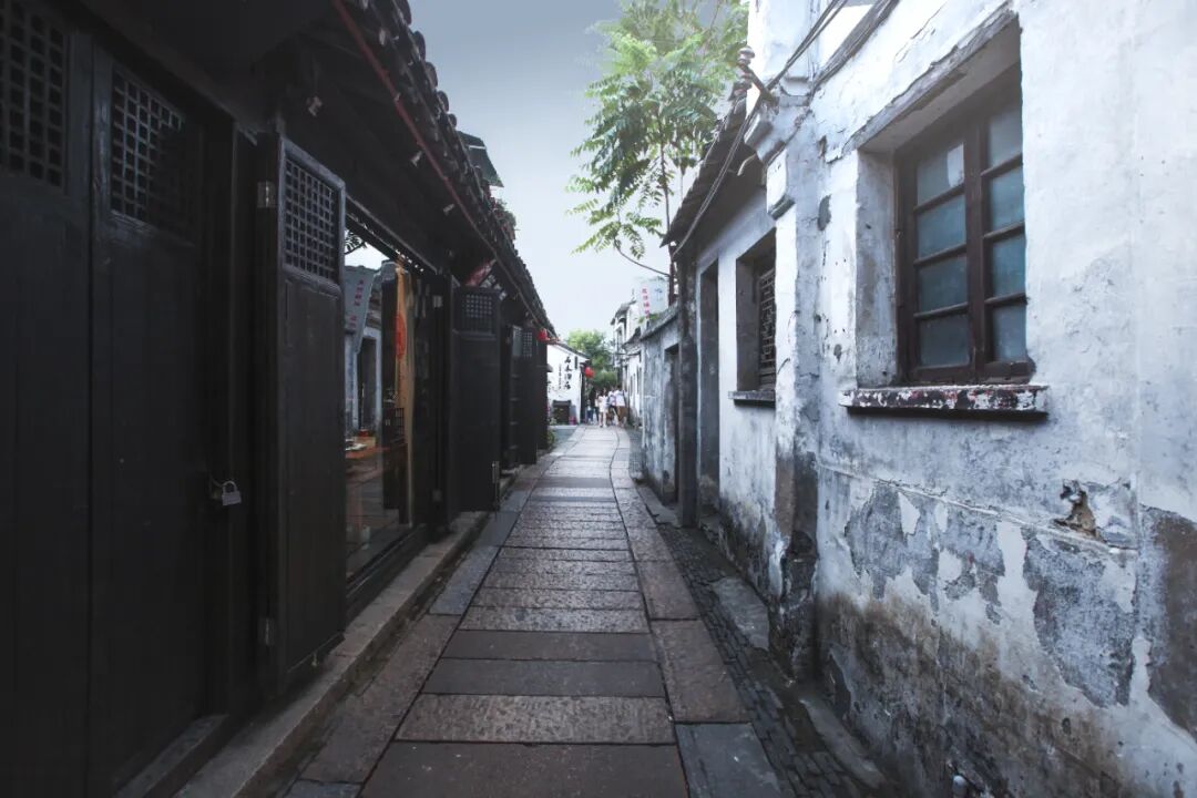 泰州一日游最佳景点推荐，江苏泰州8大好玩景点，一定不可错过！