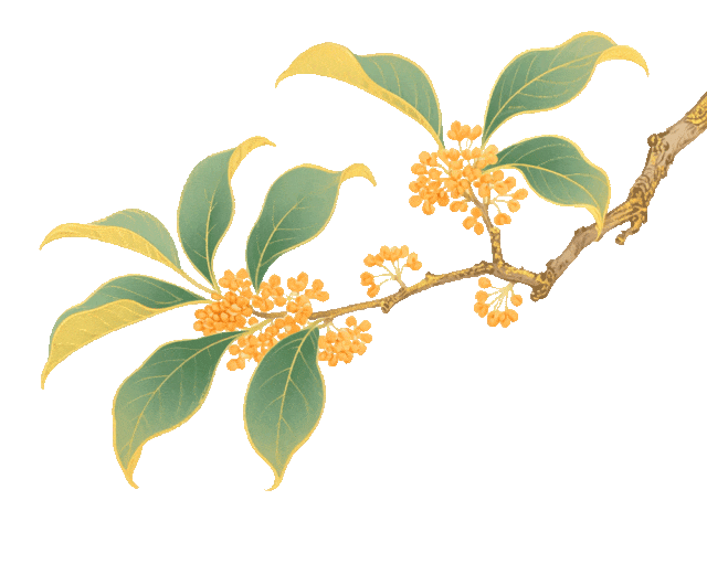 有客宿宿丨按头安利，十二背后这两家民宿，让我想原地退休！