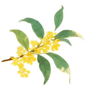 有客宿宿丨按头安利，十二背后这两家民宿，让我想原地退休！