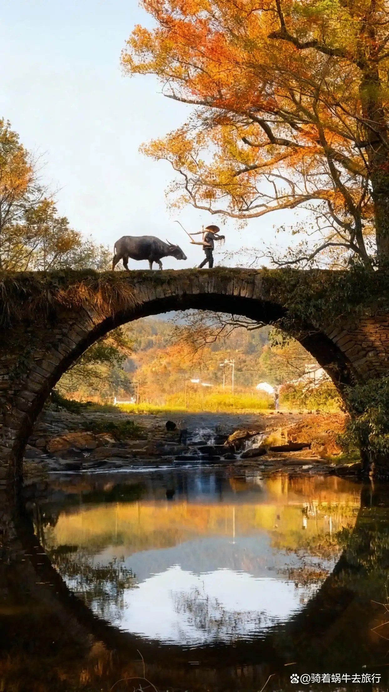 被《国家地理》誉为“中国最美乡村”的婺源！