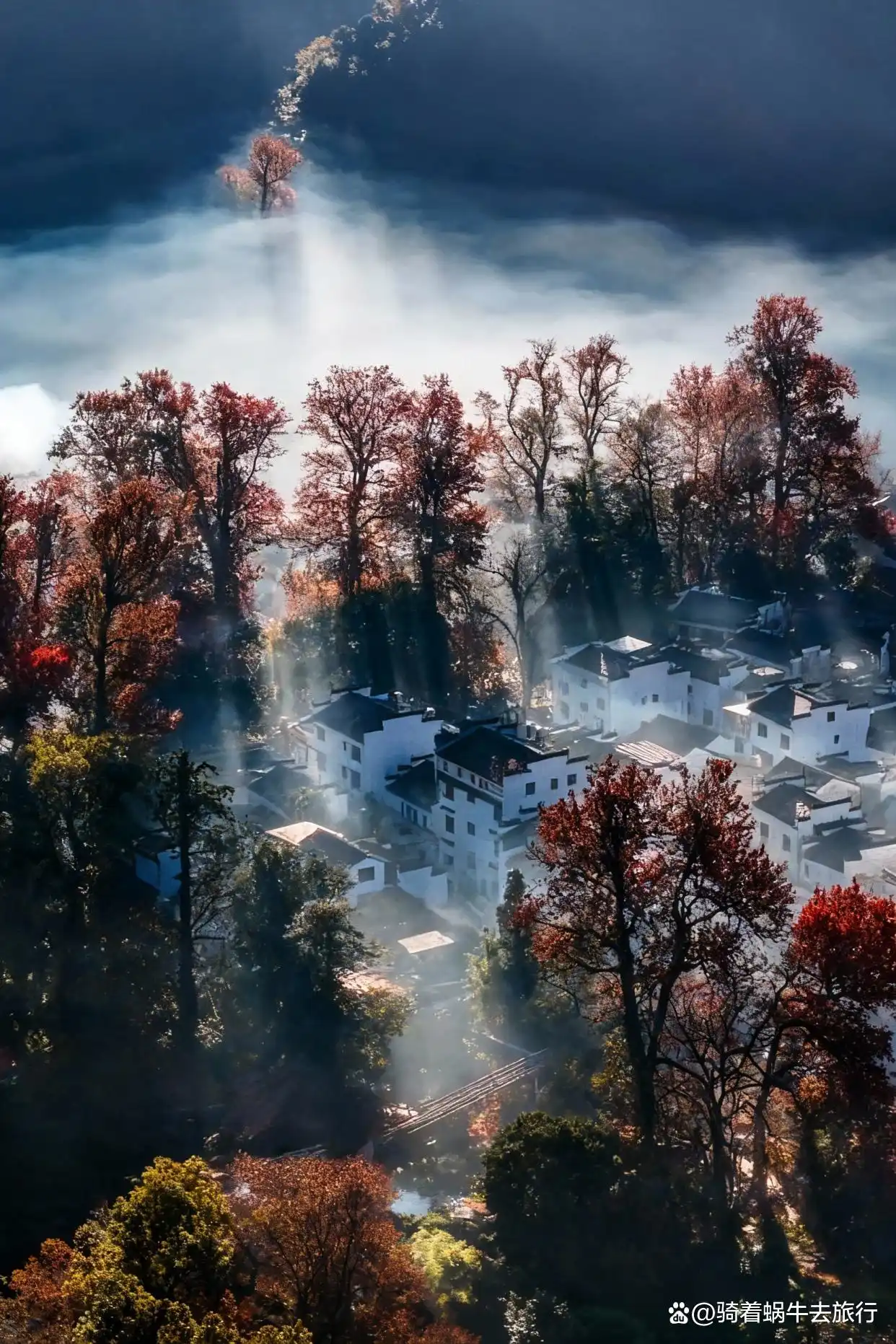 被《国家地理》誉为“中国最美乡村”的婺源！