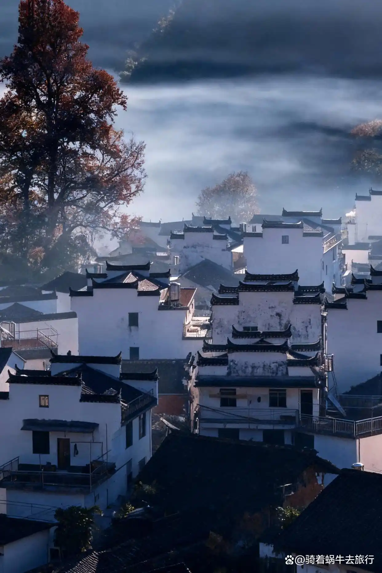 被《国家地理》誉为“中国最美乡村”的婺源！