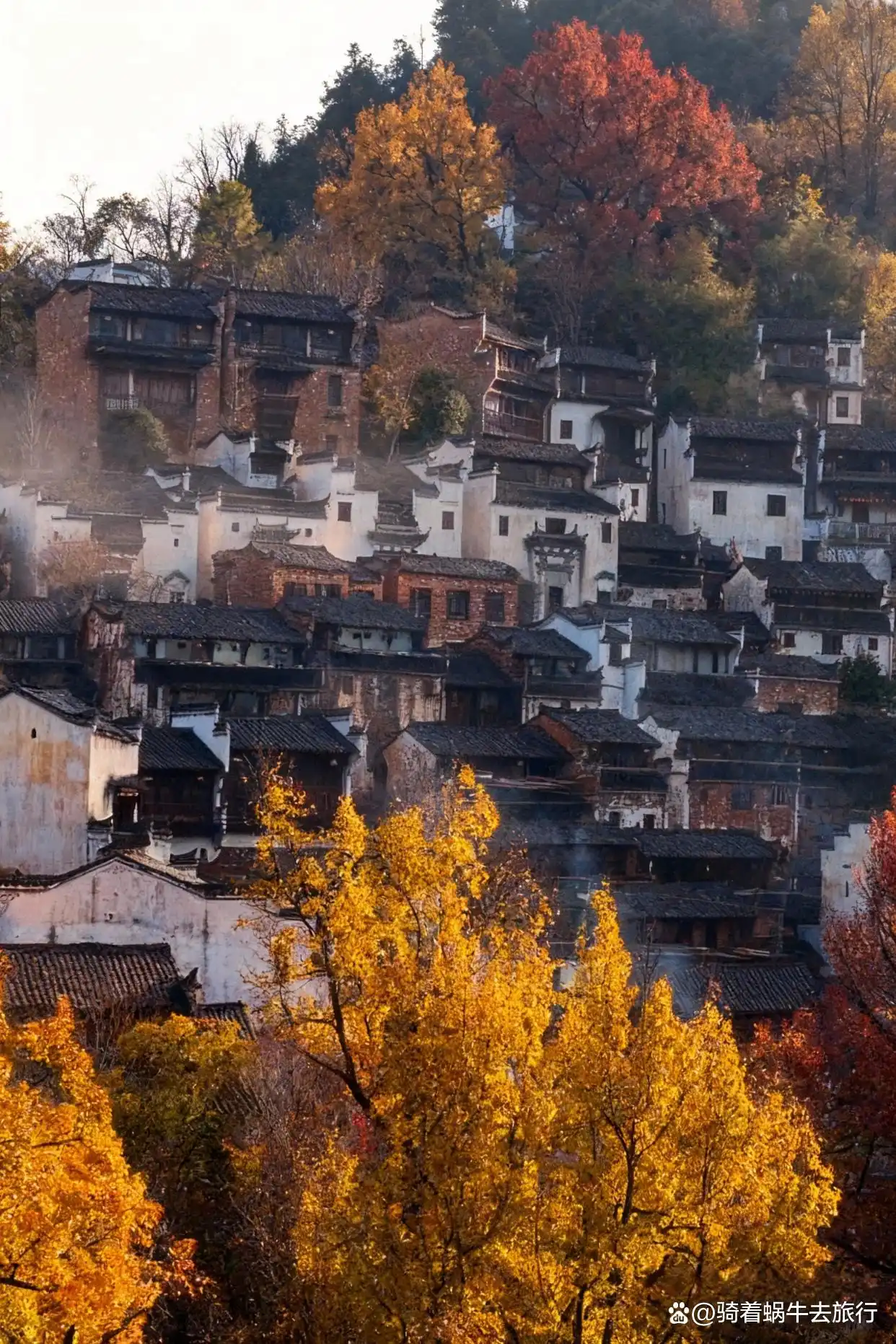 被《国家地理》誉为“中国最美乡村”的婺源！