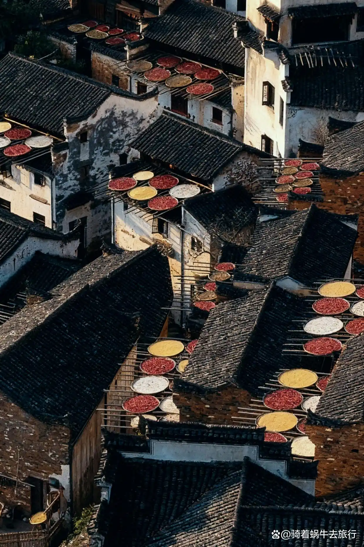 被《国家地理》誉为“中国最美乡村”的婺源！