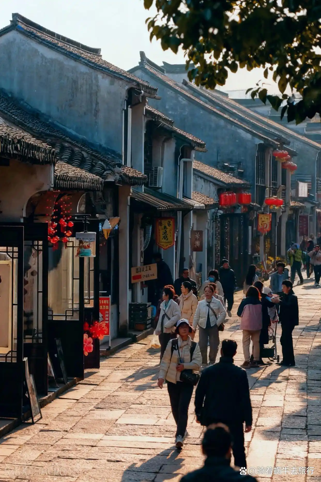 以为乌镇够美了，直到我去了南浔