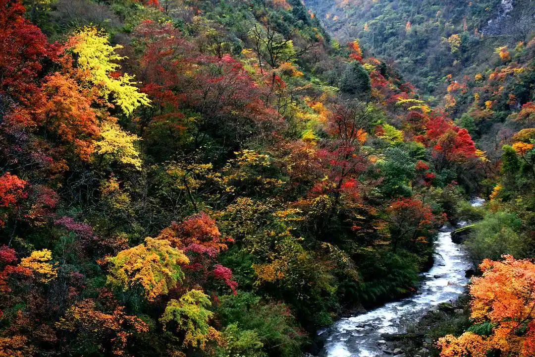 四川绵阳推出八条周末游线路 打造周末微度假新体验