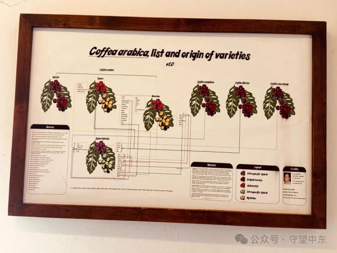 游记 | 迪拜老城的咖啡博物馆