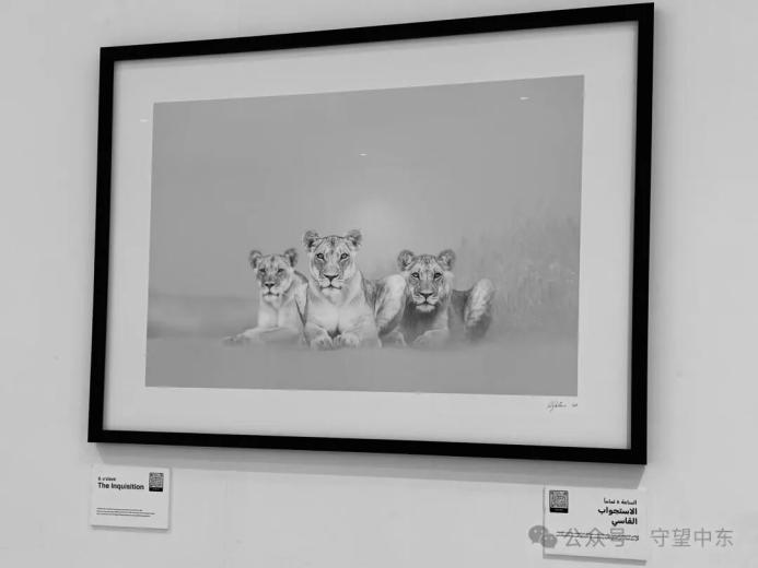 游记 | 迪拜老城的咖啡博物馆