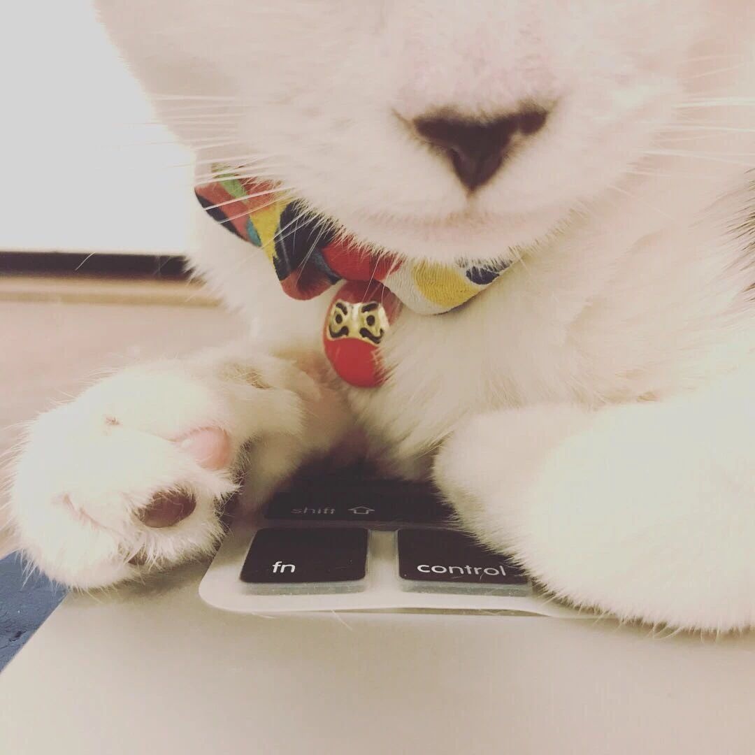 游记 | 迪拜老城的咖啡博物馆