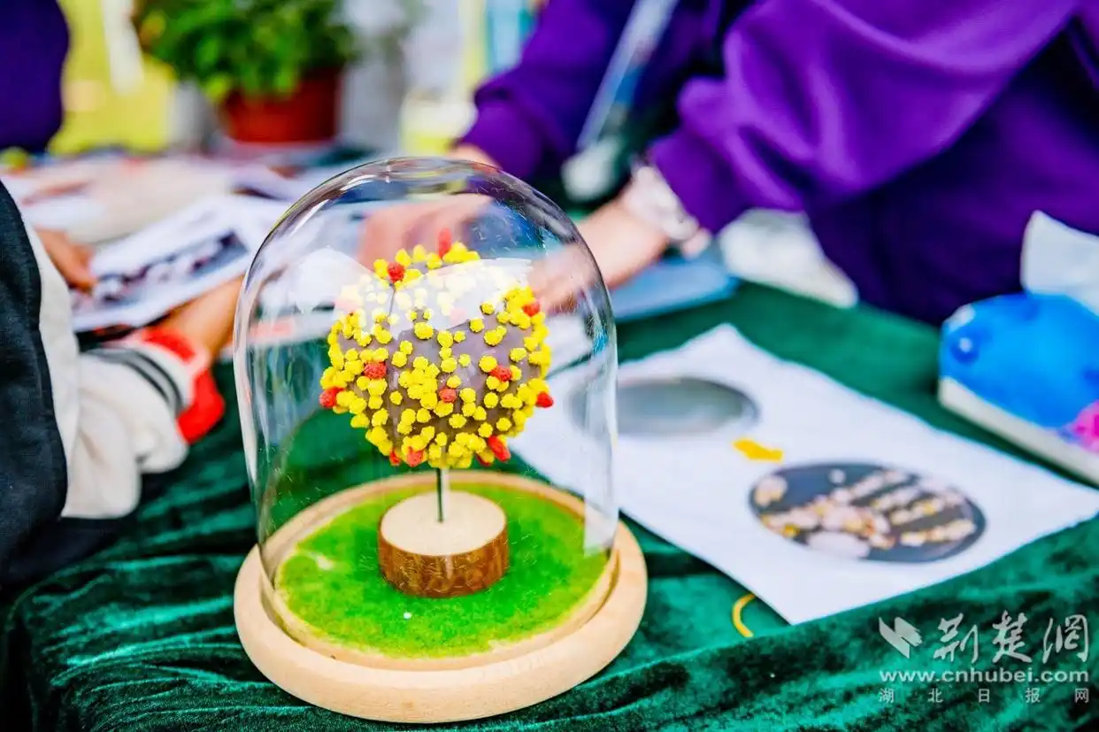 湖北省科普嘉年华来袭！2000张免费门票速抢！