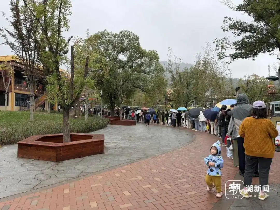一早赶来，雨中排队40分钟也值！杭州这个新开乐园太火爆，50元玩到爽