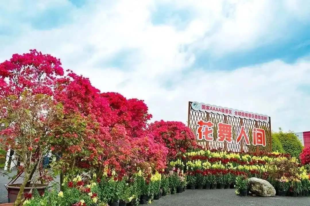 来了！成都新津景区景点出行指南请查收