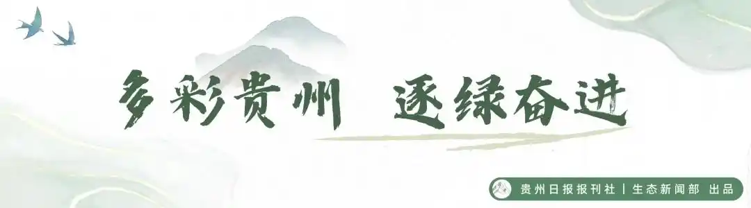 「生态资讯」贵州梵净山荣膺“2026亚洲100必打卡景点”榜单