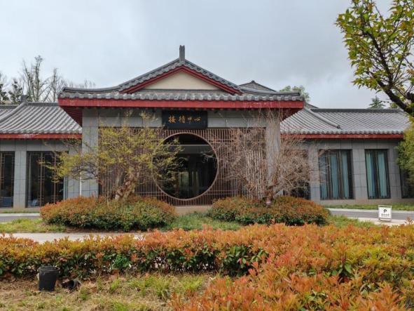 龙门石窟旅游攻略，看这篇就够了！