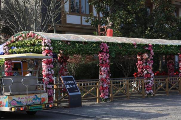 龙门石窟旅游攻略，看这篇就够了！