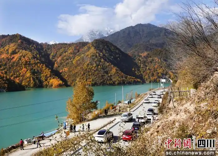 赴平武看彩林！“快旅慢游”解锁秋冬自驾新玩法