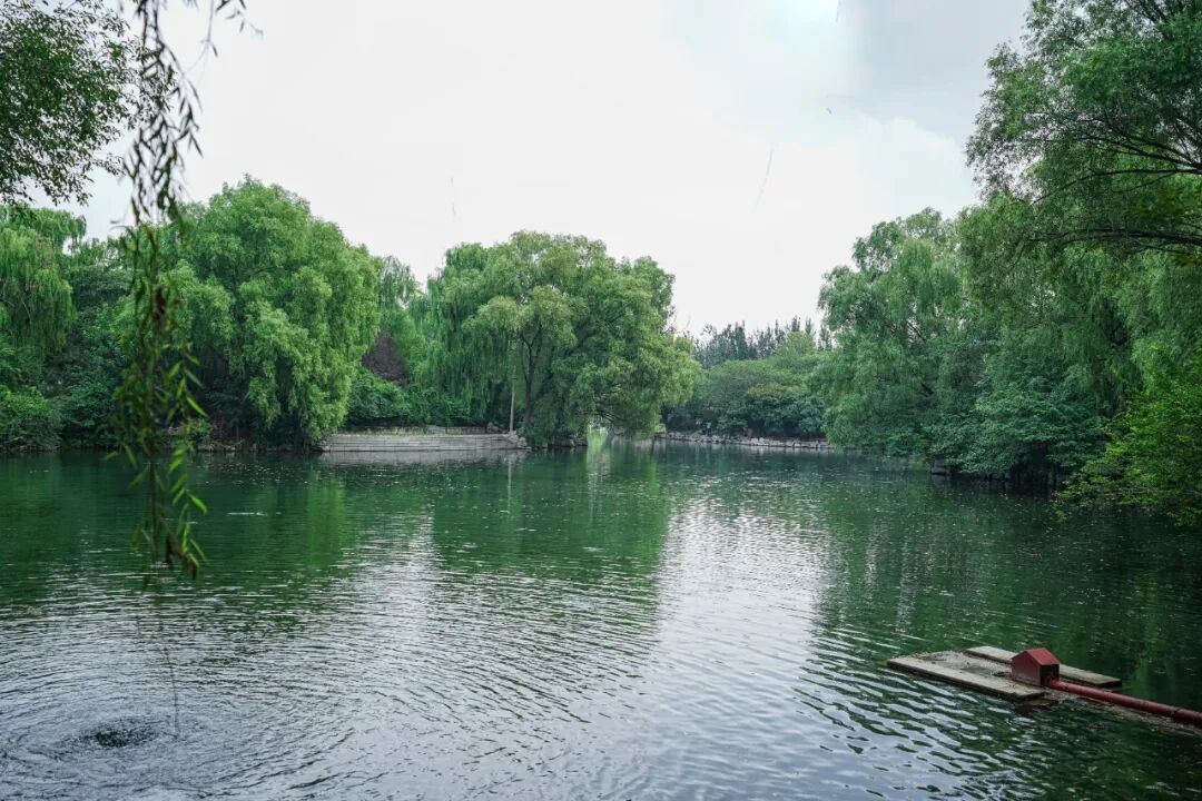 章丘好玩的地方有哪些，济南章丘8大好玩景点，看看你去过几个？