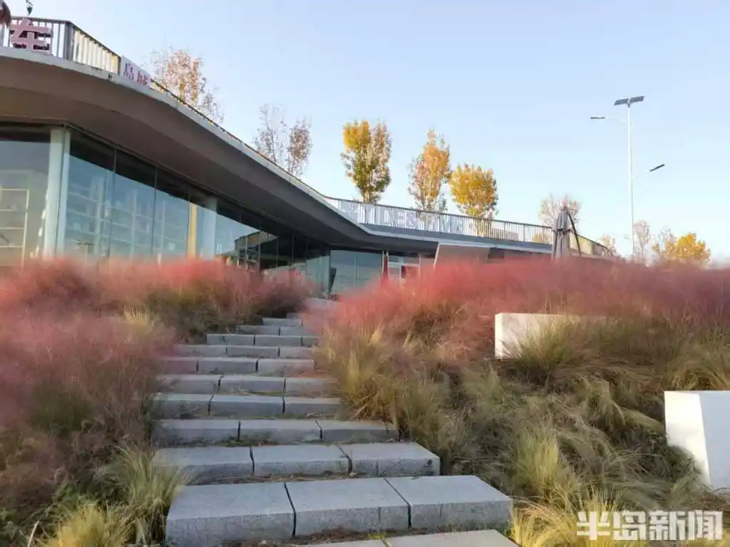 这里是青岛｜周末民宿房间全满，老少齐出动爬山！崂山错峰游挺火