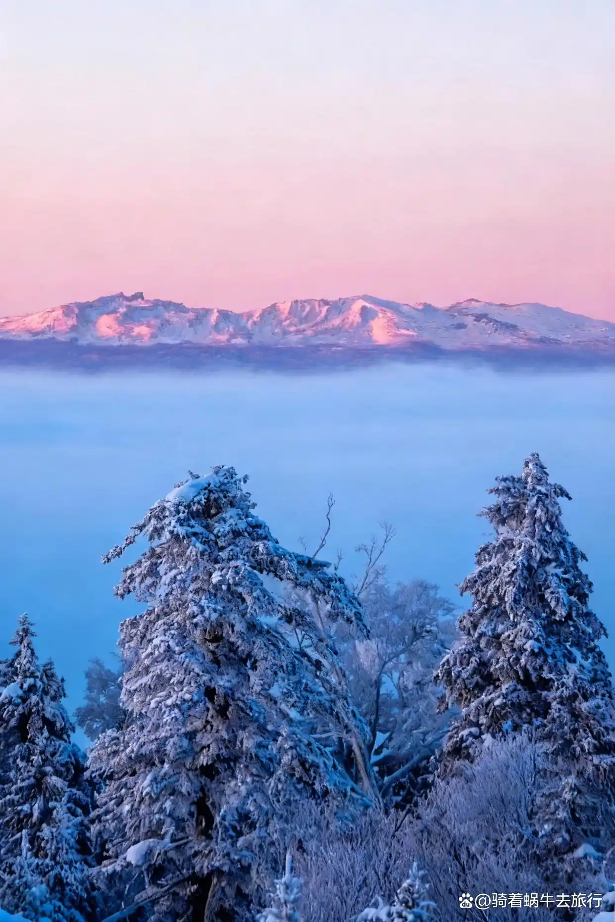 这个冬天，你想与谁共赴长白山，邂逅一场雪的浪漫？