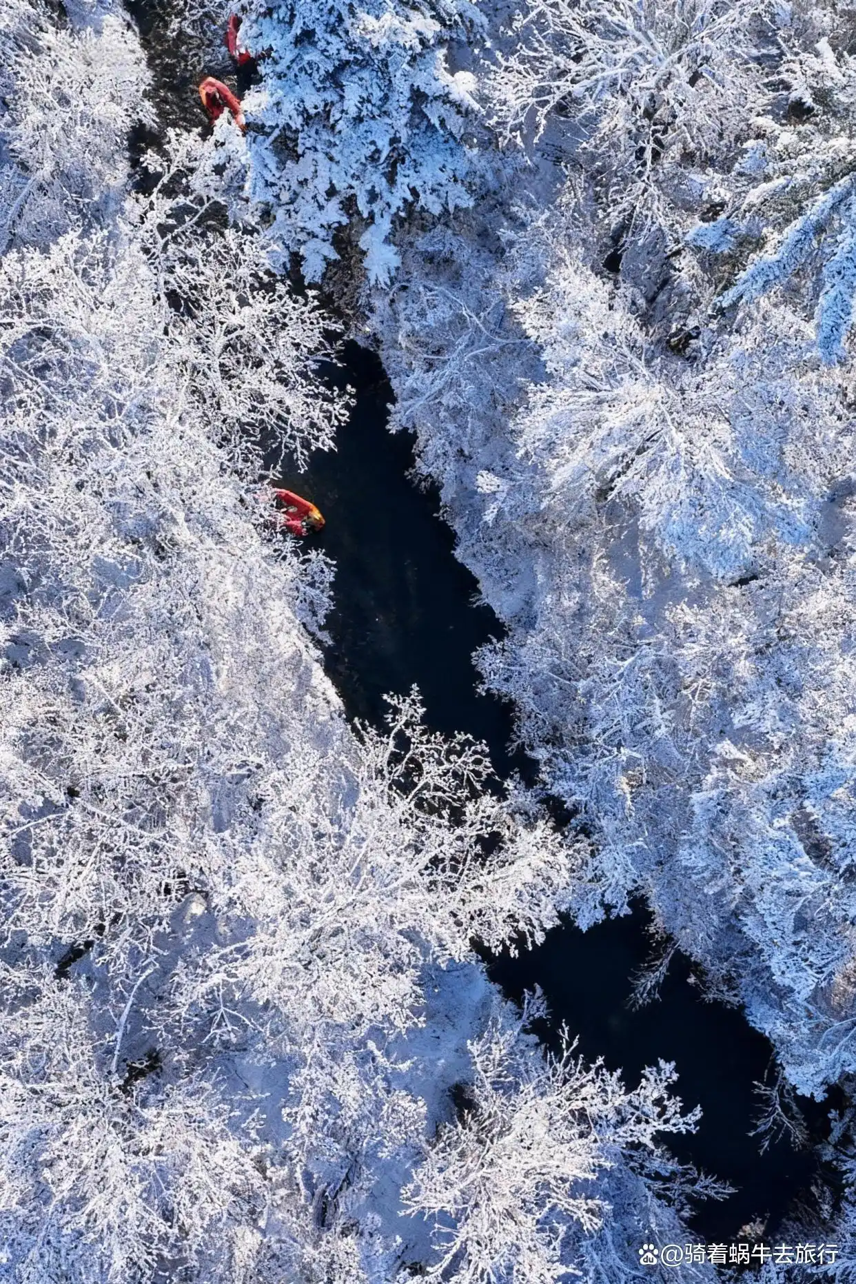 这个冬天，你想与谁共赴长白山，邂逅一场雪的浪漫？