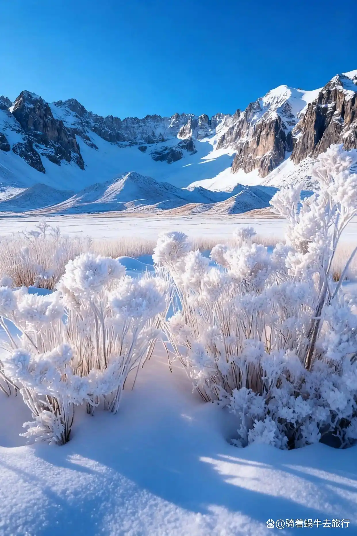 这个冬天，你想与谁共赴长白山，邂逅一场雪的浪漫？