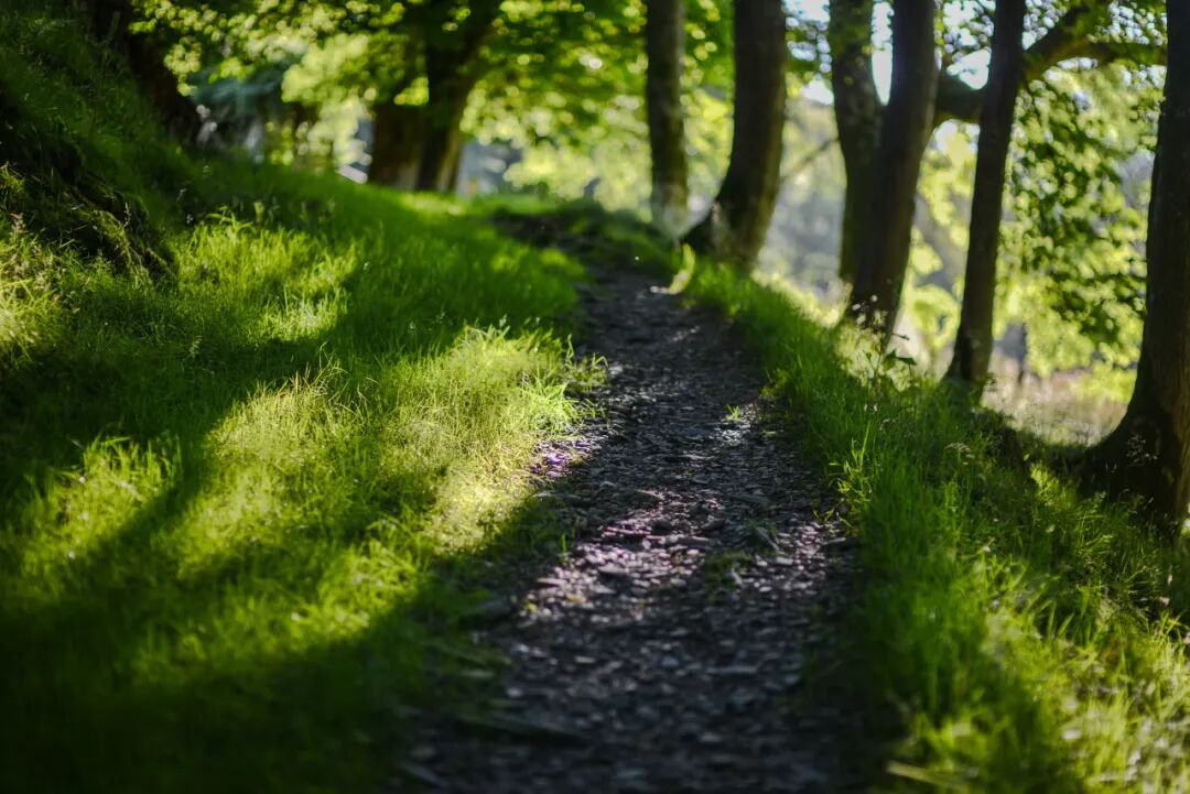 湖南株洲景点排行榜，株洲值得一去的8大好玩景点，你去过几个？