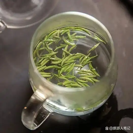 中国八大绿茶之乡，我终于明白了什么叫“茶香醉人”