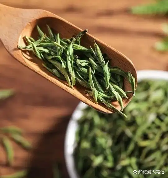 中国八大绿茶之乡，我终于明白了什么叫“茶香醉人”