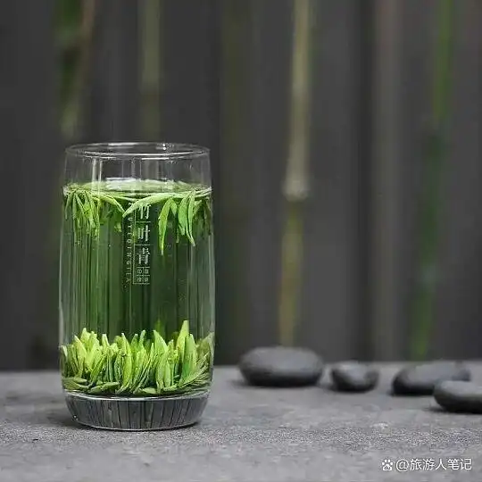 中国八大绿茶之乡，我终于明白了什么叫“茶香醉人”